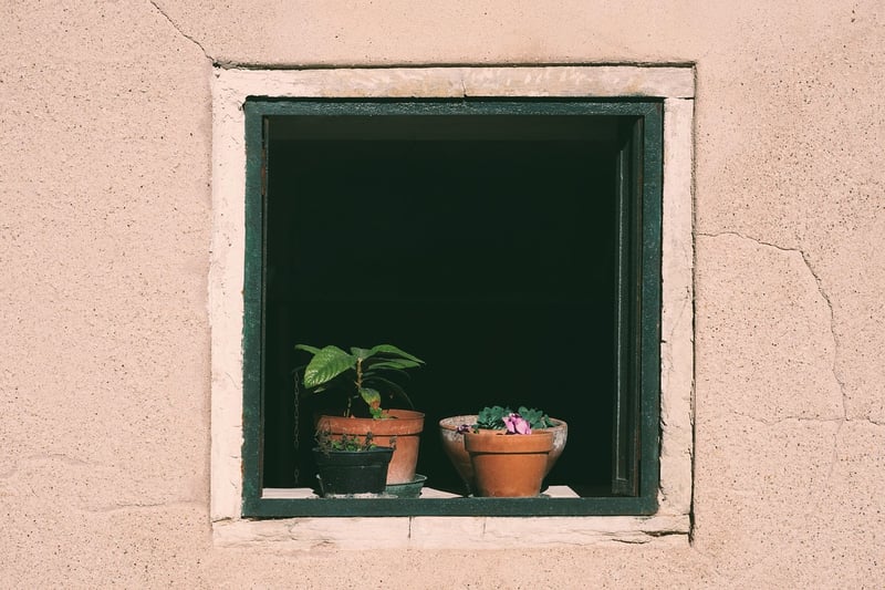 Leadership Insights